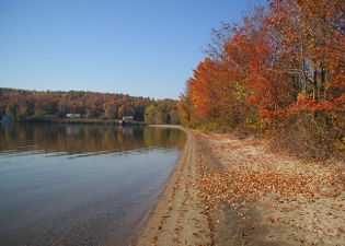 Autumn
